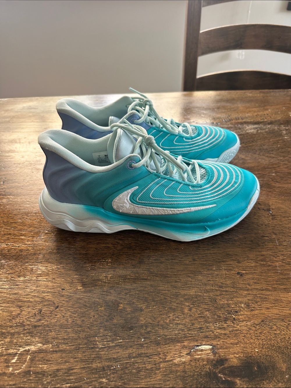 Nike Aqua-to-Teal Gradient Running Shoes